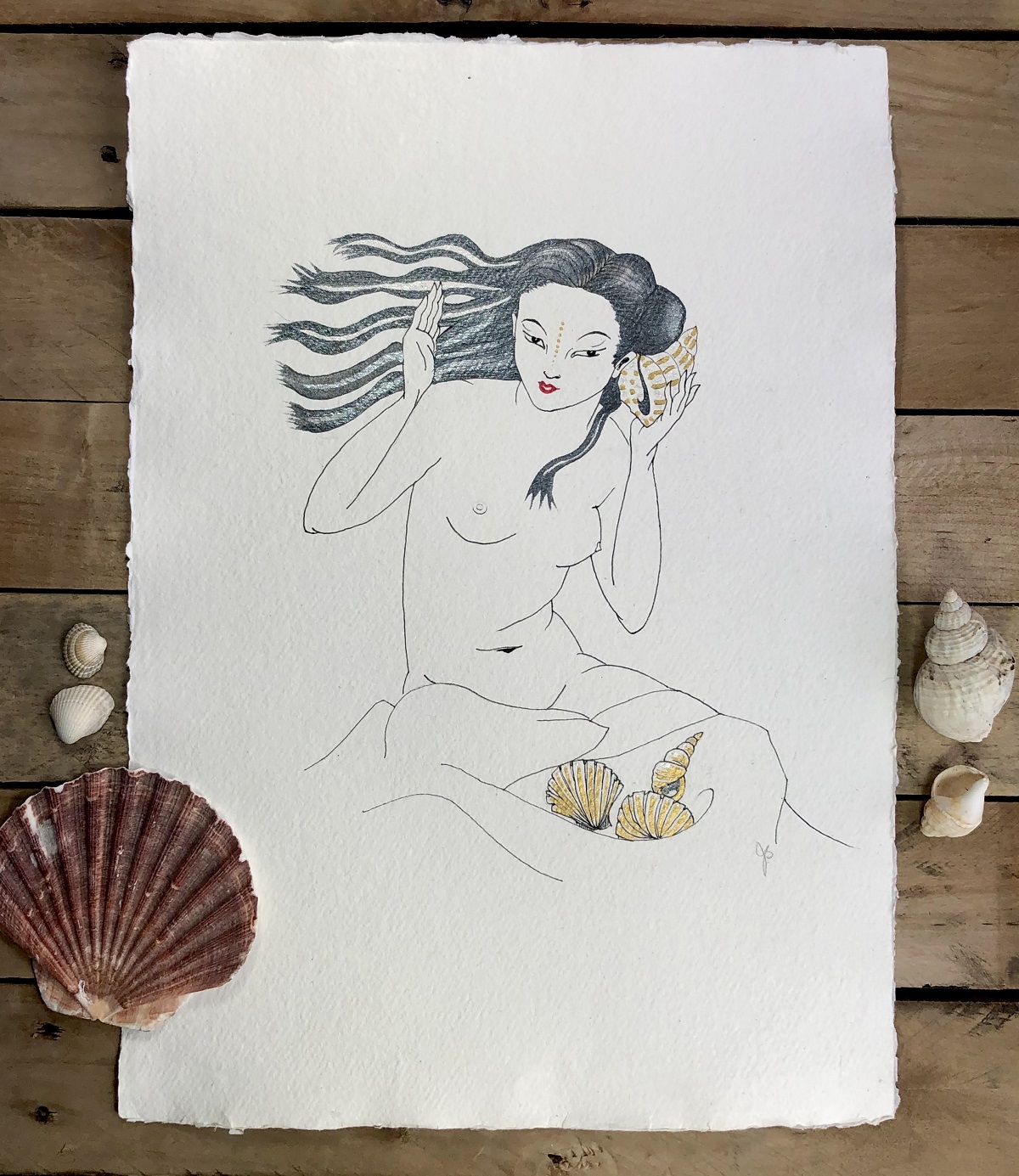the-shell-girl