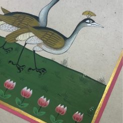 birds-img2