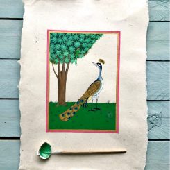 peacock-img1