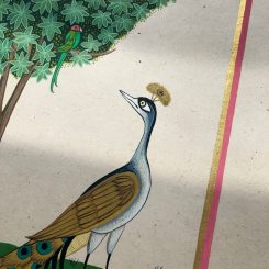 peacock-img2